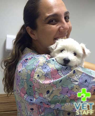 vetstaff20163