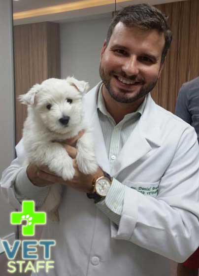 vetstaff20165