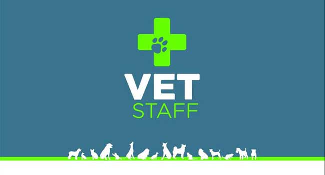 vetstaff20166