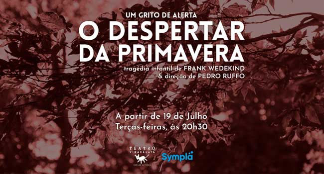 Divulgação