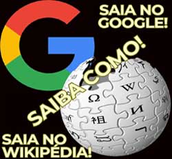 saia no google