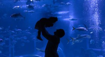 AquaRio é reconhecido entre as melhores atrações do Brasil pelo TripAdvisor (Divulgação)